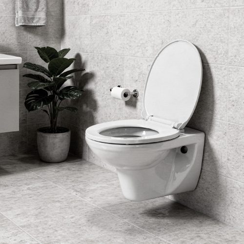 Roya fali WC ülőkével